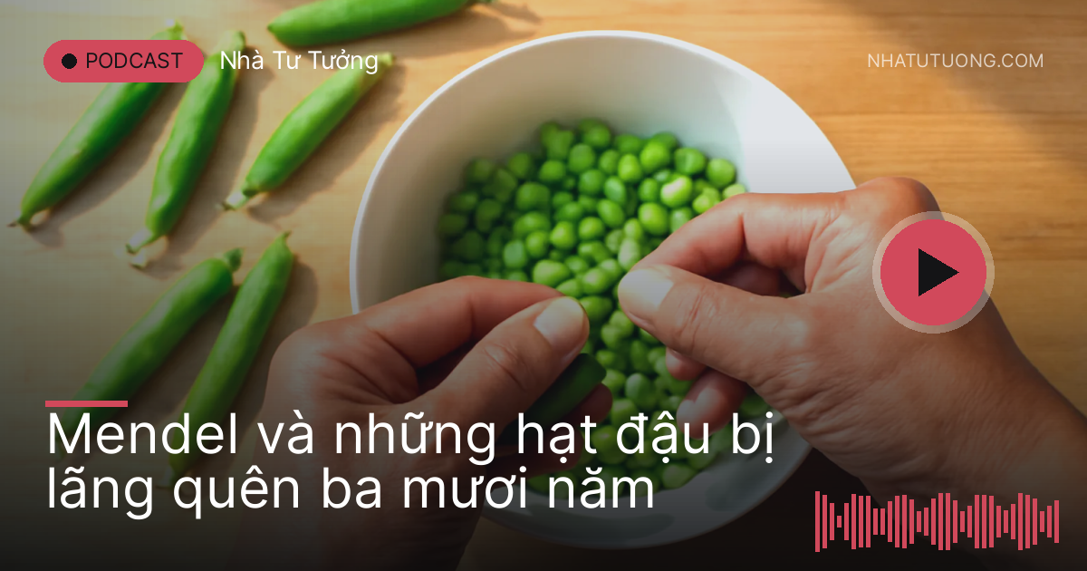 Đôi tay tách hạt đậu Hà Lan xanh vào bát