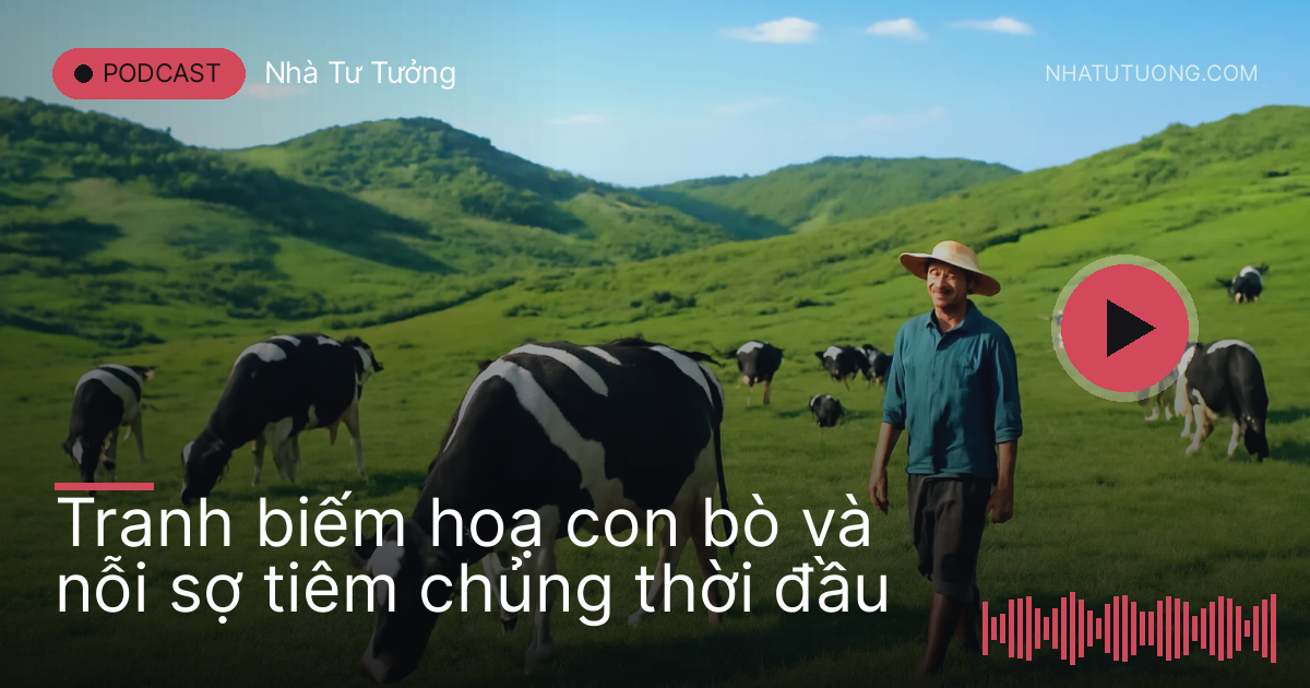 Bò sữa trên đồng cỏ Mộc Châu với người chăn